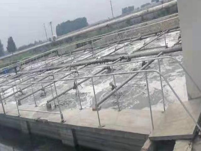 安徽一皮革公司污水厂