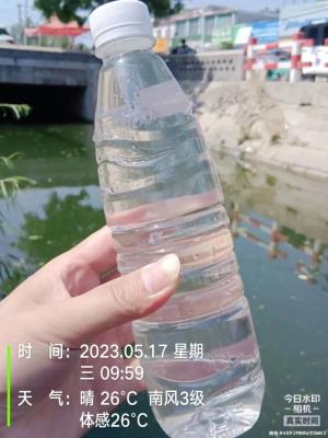 河南一河道黑臭水体治理